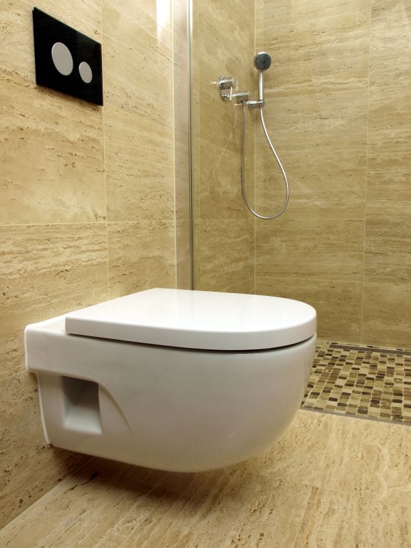 Stylish Toilet Designs
